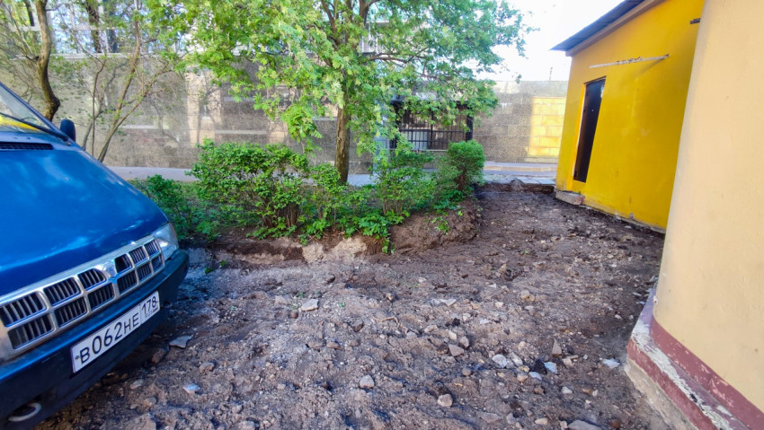 Кустарники и дерево на участке вскрытого грунта у хозяйственного строения