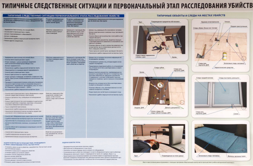 Плакат с типичными следственными ситуациями и этапами расследования убийств
