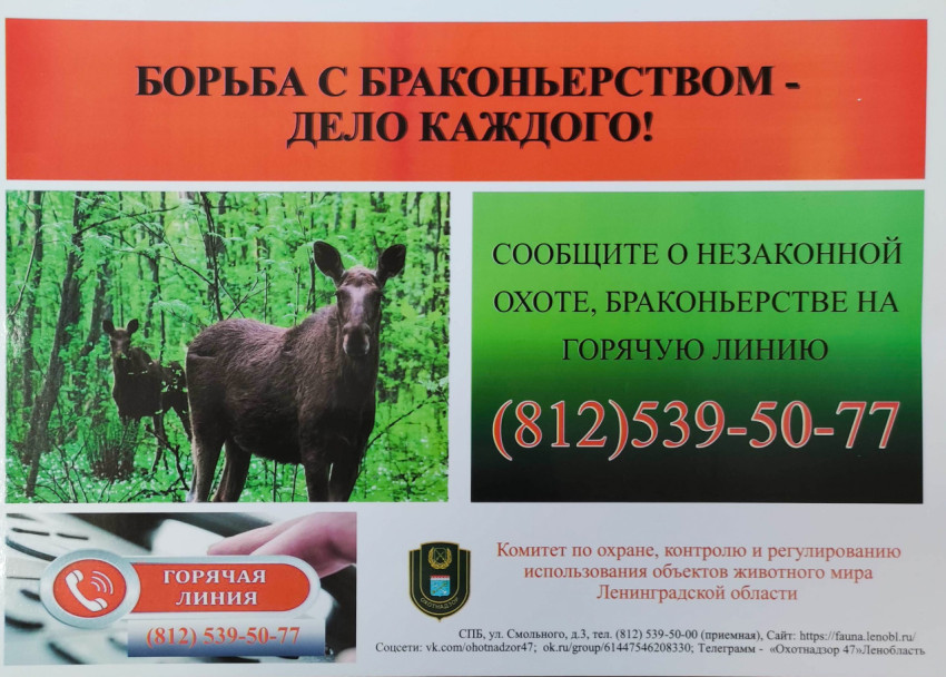 Информационный плакат о борьбе с браконьерством