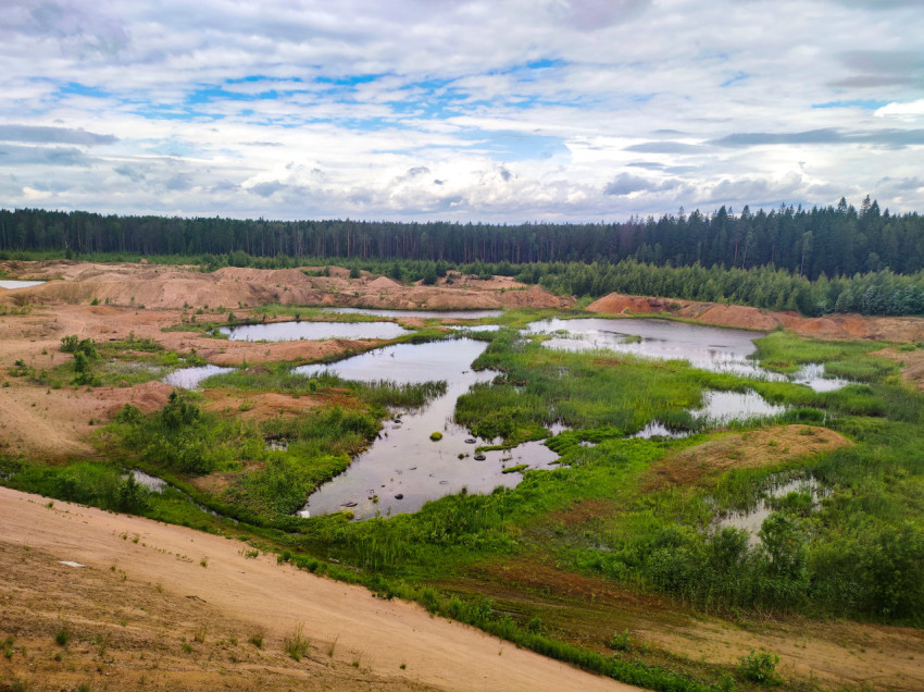 Панорама песчаного карьера с прудами и заболоченными участками под облачным небом
