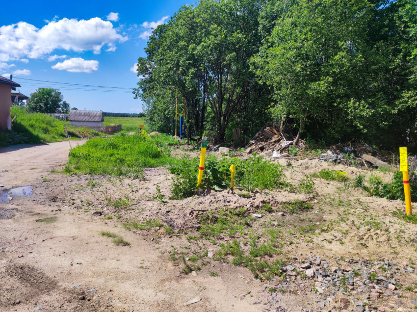 Грунтовая дорога у опушки и сигнальные столбики инженерных коммуникаций рядом с деревьями