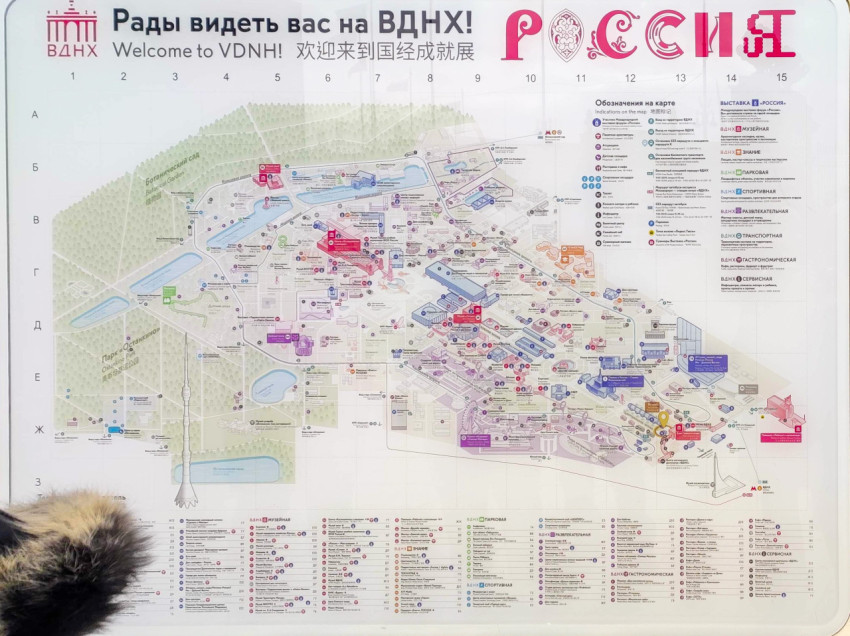 Карта выставки «Россия» на ВДНХ