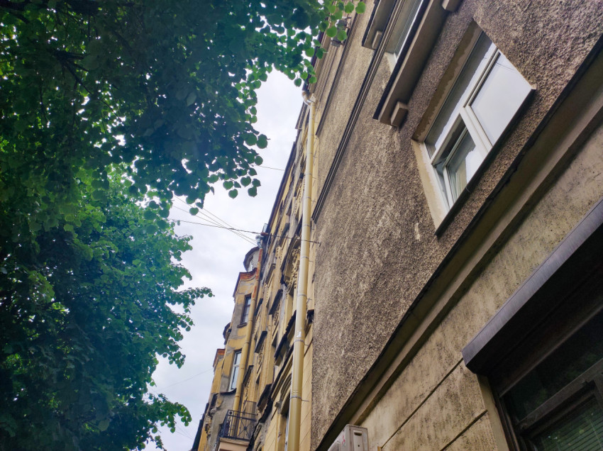 Фрагмент фасада с окном, водосточной трубой и кроной дерева, снятый снизу