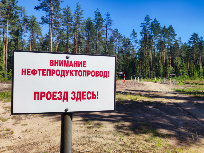 Крупный план предупреждающей таблички о нефтепродуктопроводе на фоне лесной дороги