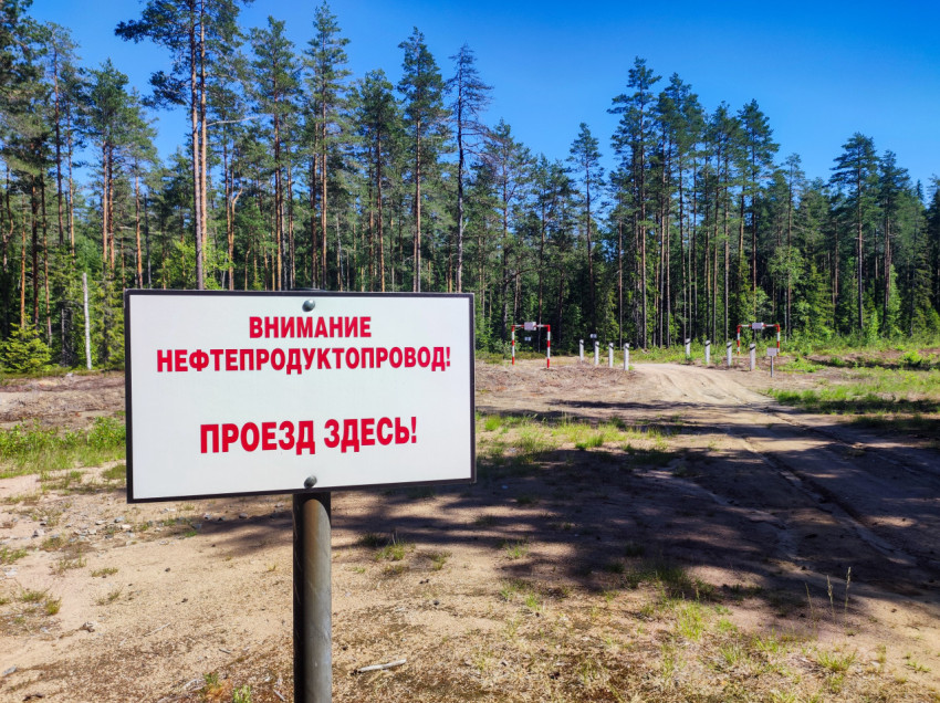 Предупреждающий знак «Внимание нефтепродуктопровод» у лесной грунтовой дороги
