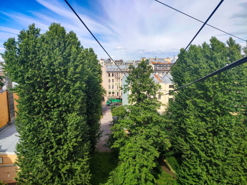 Внутренний двор с густыми кронами деревьев и воздушными кабелями на фоне городских домов