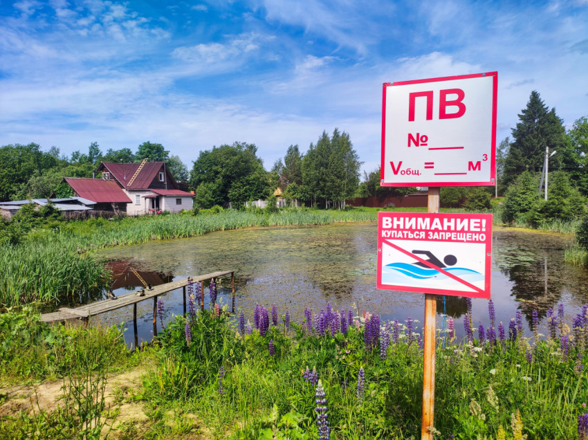Предупреждающие знаки «ПВ» и «Купаться запрещено» на фоне деревенского пруда