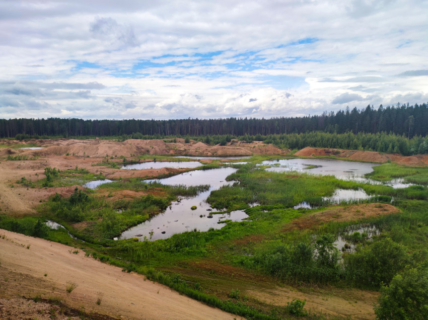 Затопленный песчаный карьер с водоёмами и лесом на горизонте