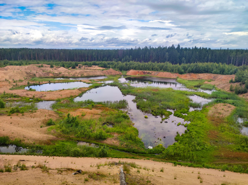 Пруды и заросли камыша среди песчаных отвалов у хвойного леса, вид сверху