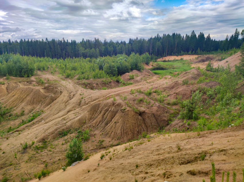 Песчаные склоны карьера с промоинами и грунтовой колеёй на фоне леса