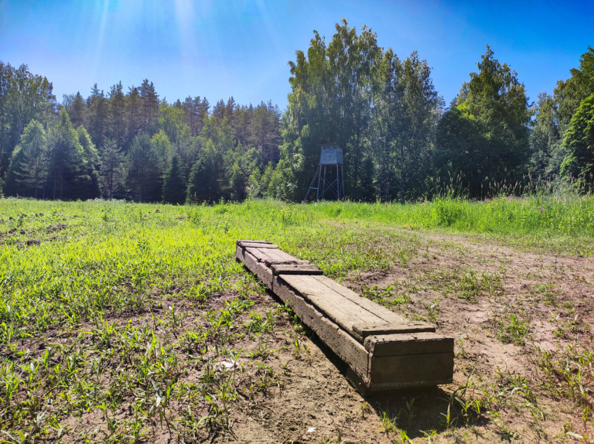 Деревянная кормушка на поляне у леса