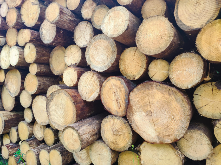 Торцы бревен в штабеле под углом, объёмная фактура древесины