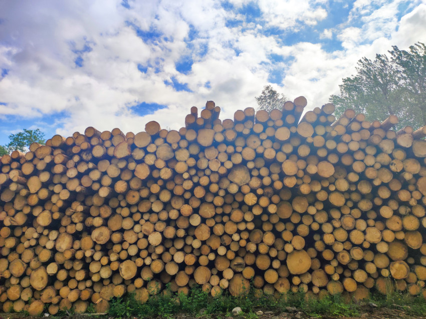 Штабель круглых брёвен на лесоскладе на фоне облачного неба