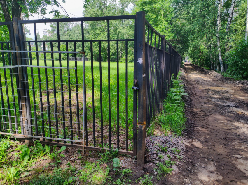 Металлические ворота с навесным замком у грунтовой дороги в зелёной зоне