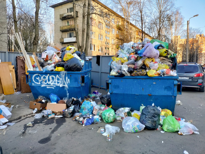 Два синих мусорных контейнера с переполненным содержимым