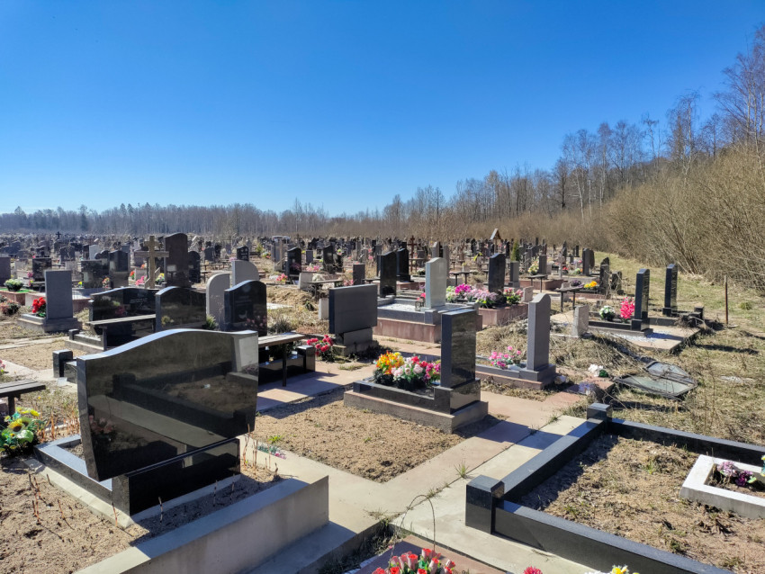 Панорамный вид на городское кладбище с надгробиями и цветами