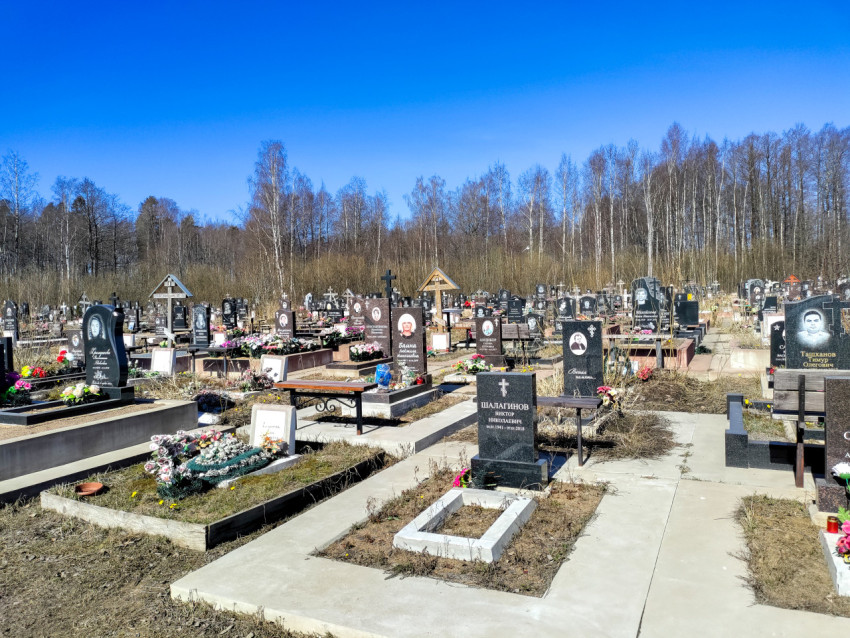 Ряды памятников на кладбище с тротуарными дорожками весной