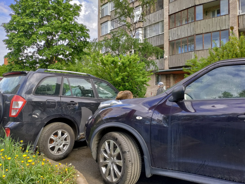 Припаркованные автомобили у жилого дома