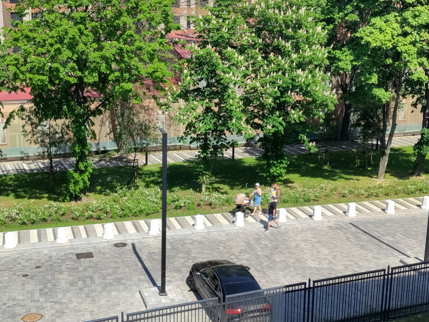 Пешеходная зона с деревьями и прогулочными дорожками