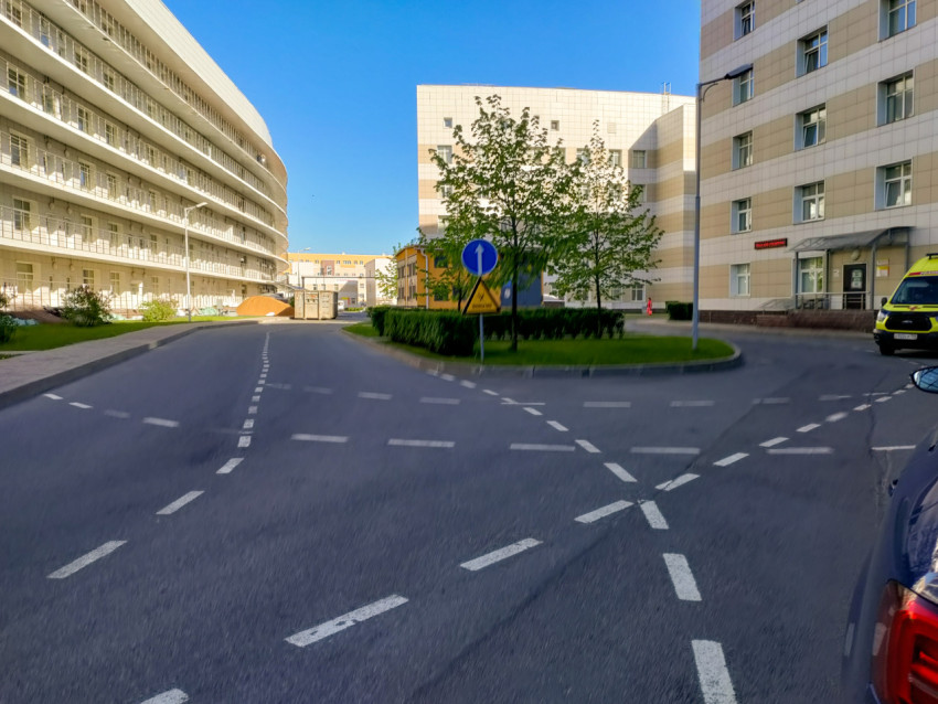 Развилка на территории больницы Боткина в Санкт-Петербурге