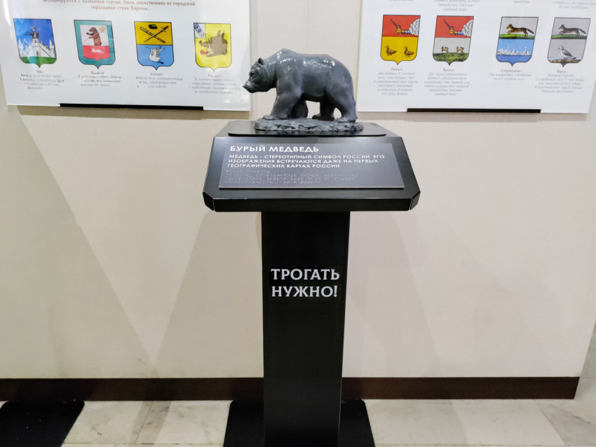 Тактильная скульптура бурого медведя в музейной экспозиции