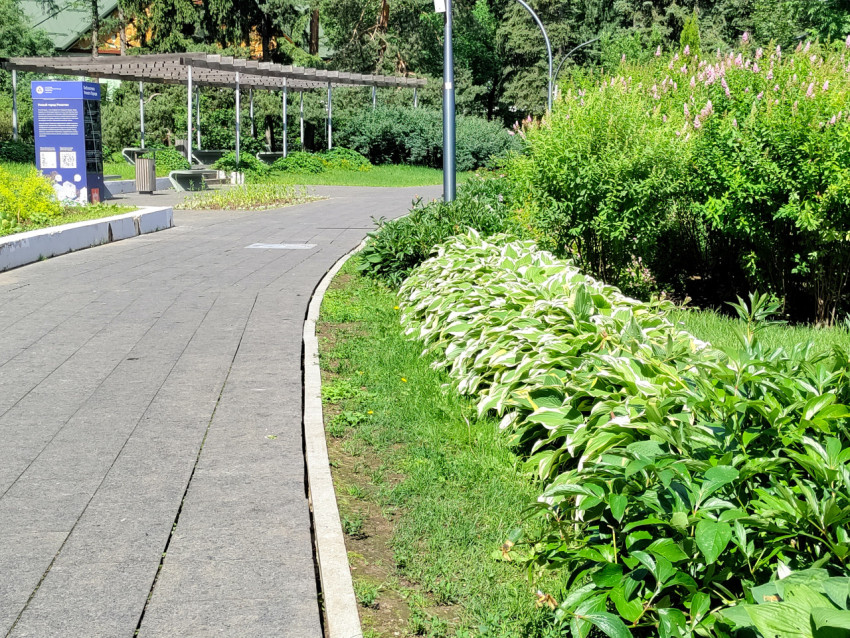 Пешеходная дорожка и озеленение на ВДНХ