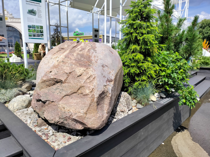 Каменный валун в ландшафтной экспозиции ВДНХ