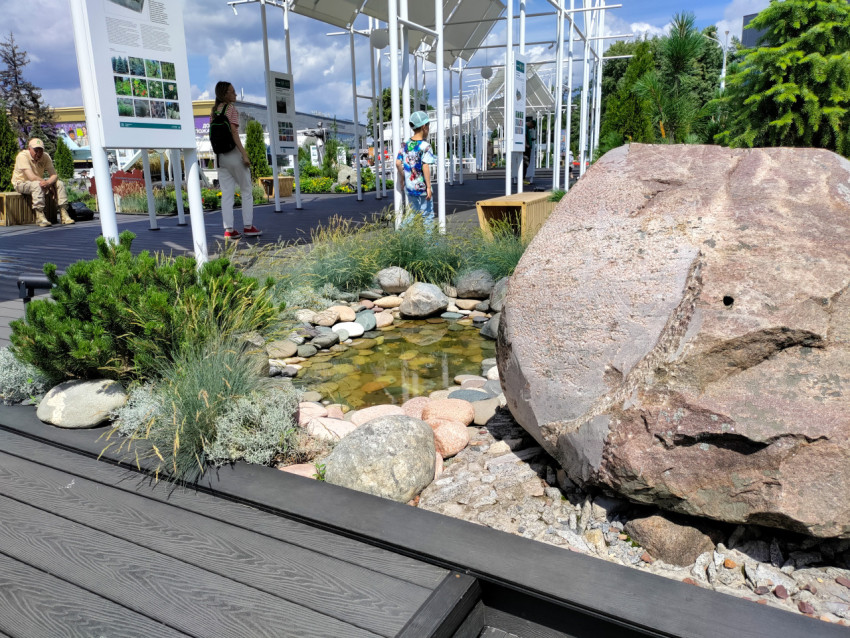 Каменный валун и декоративный водоём в ландшафтной экспозиции ВДНХ