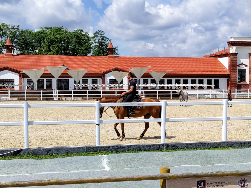 Тренировка всадника на открытом манеже ВДНХ