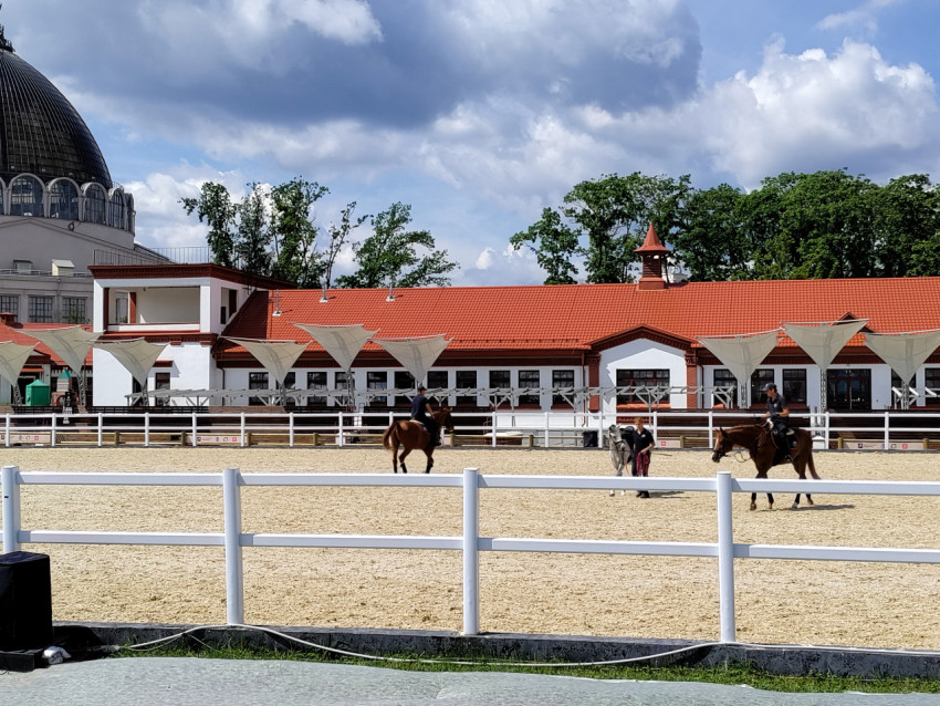 Тренировка по верховой езде в конном манеже ВДНХ
