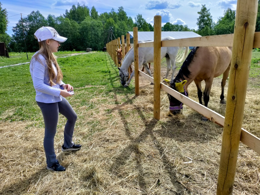 Девочка у деревянного загона наблюдает за лошадьми на пастбище