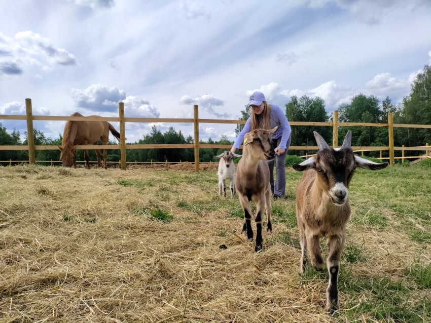 Коза на переднем плане и девушка с животными в загоне