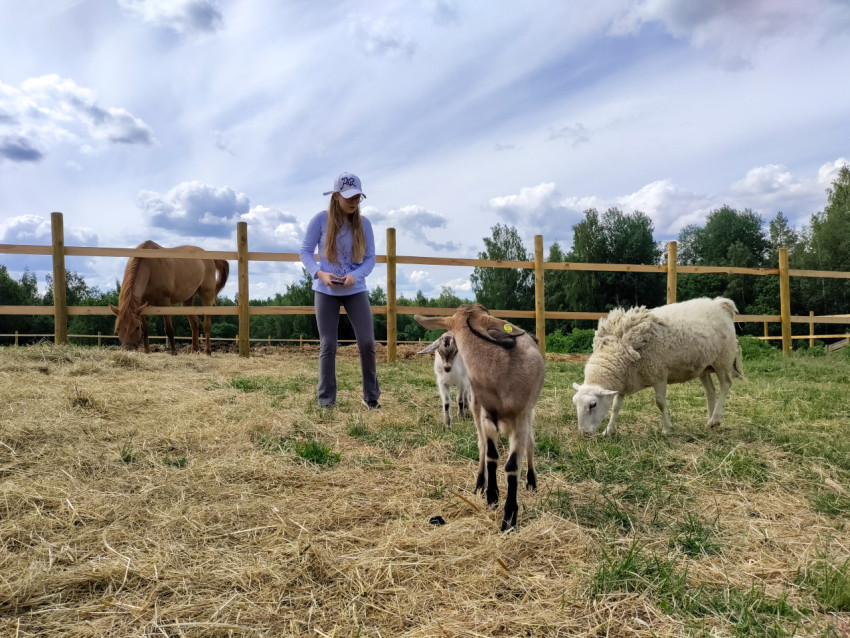 Девушка на пастбище с козой, козленком, овцой и лошадью