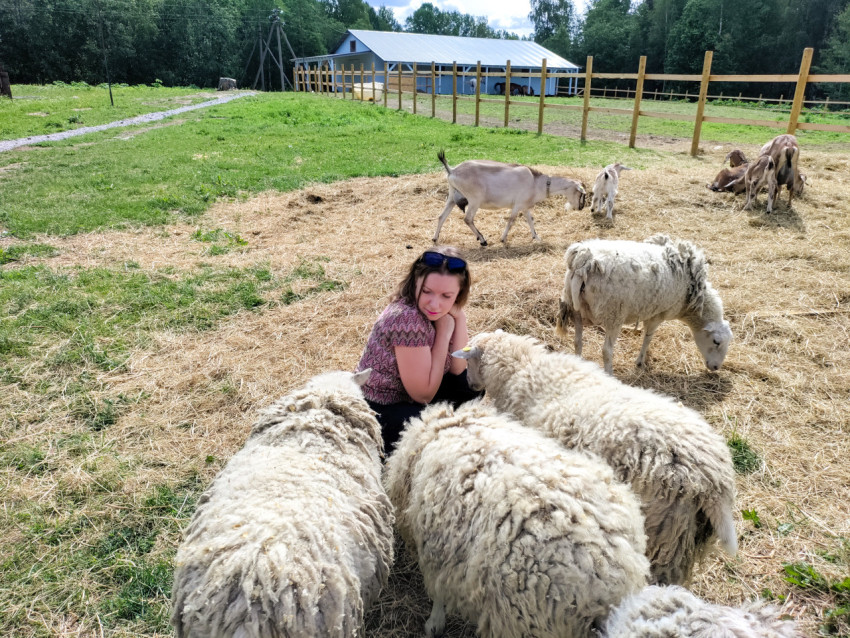 Женщина среди овец на ферме рядом с козами и козлёнком