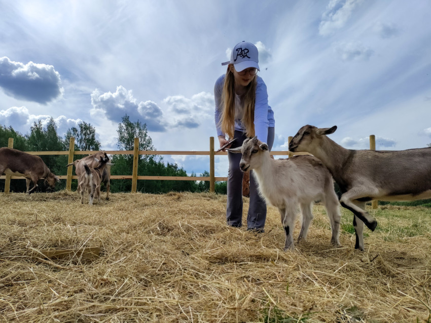 Девочка гладит козлёнка в загоне контактной фермы