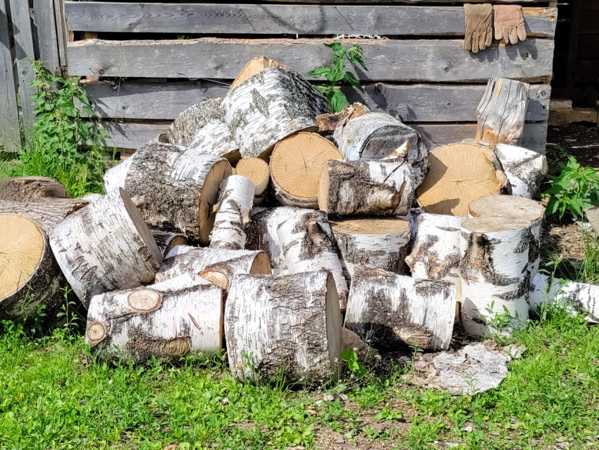 Куча берёзовых дров у деревянной стены с рабочими перчатками на доске