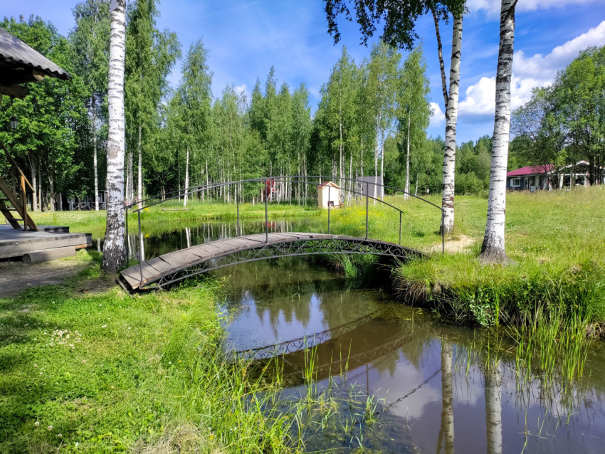 Мостик через ручей рядом с прудом и деревянной террасой среди берез