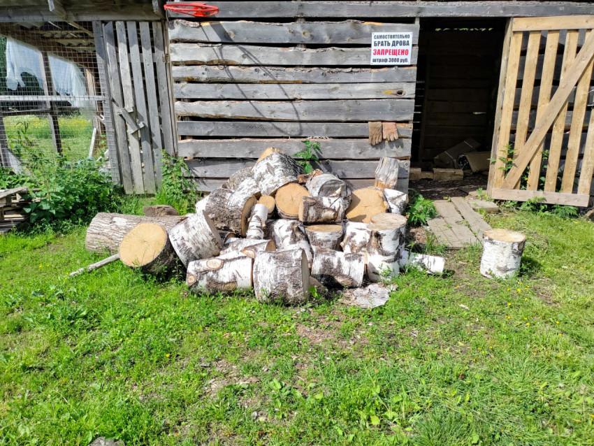Берёзовые дрова у сарая с табличкой «Самостоятельно брать дрова запрещено»