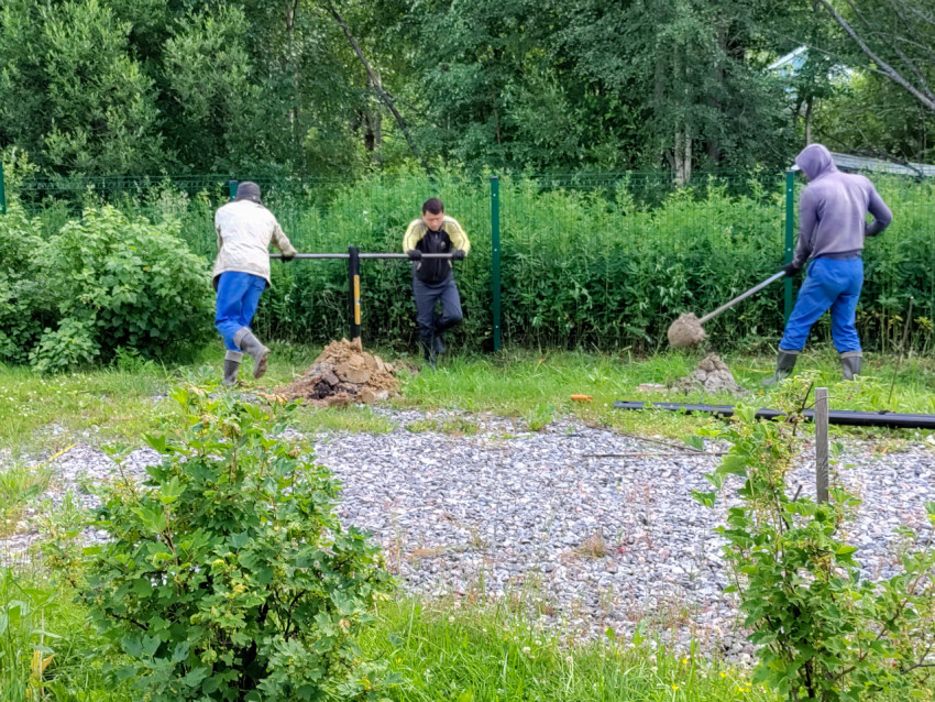 Монтаж винтовой сваи под свайный фундамент на участке у лесной растительности