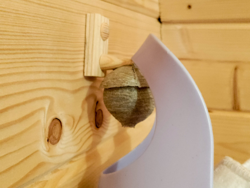 Крупный план осиного гнезда на деревянной стене в помещении