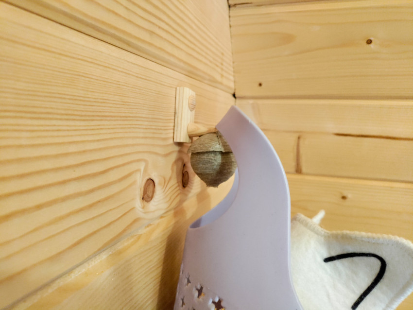 Бумажное осиное гнездо на крючке в деревянном помещении