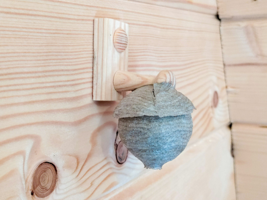 Осиное гнездо на деревянной стене в углу хозяйственной постройки