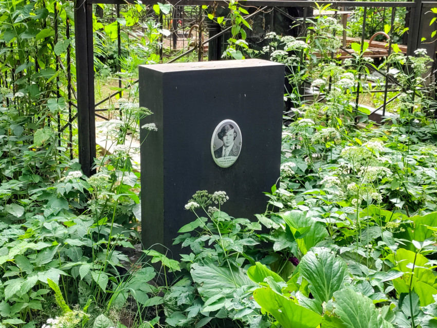 Чёрный надгробный камень с фотомедальоном среди высокой травы