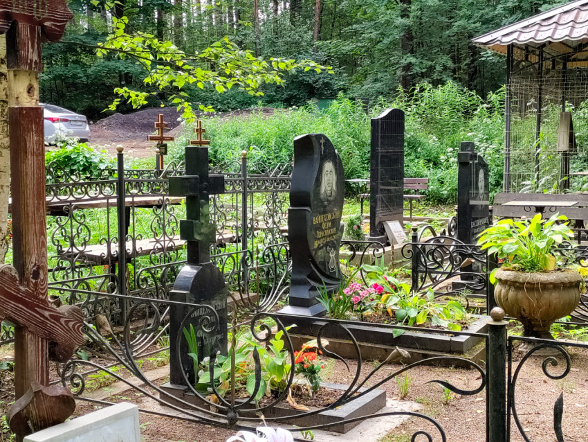 Кованые ограды и гранитные памятники на кладбищенском участке среди леса