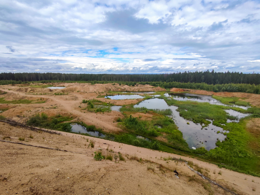 Панорамный пейзаж песчаного карьера с водоёмами и лесной кромкой