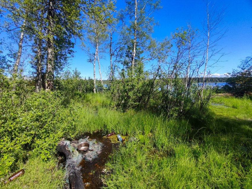 Прибрежная поляна с лужей и мусором на фоне озера