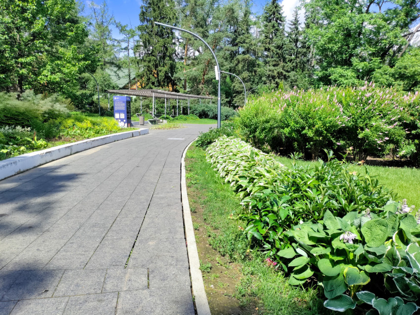 Аллея с декоративными посадками в парковой зоне ВДНХ