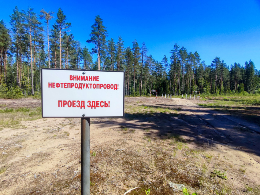 Табличка о нефтепродуктопроводе у грунтовой дороги в сосновом лесу