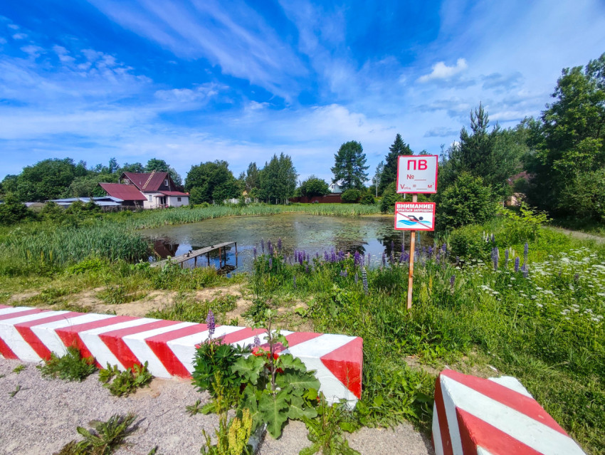 Бетонные ограничители у пожарного пруда с табличкой «ПВ» и камышовым берегом