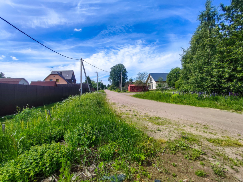 Просёлочная улица с забором, луговой травой и домами вдалеке